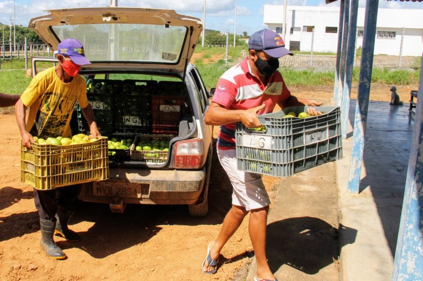 Produtores rurais irrigantes iniciam entregas para o Programa de Aquisição de Alimentos