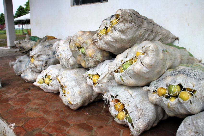 Mais de 60 toneladas de alimentos produzidos no perímetro irrigado de Lagarto são doados