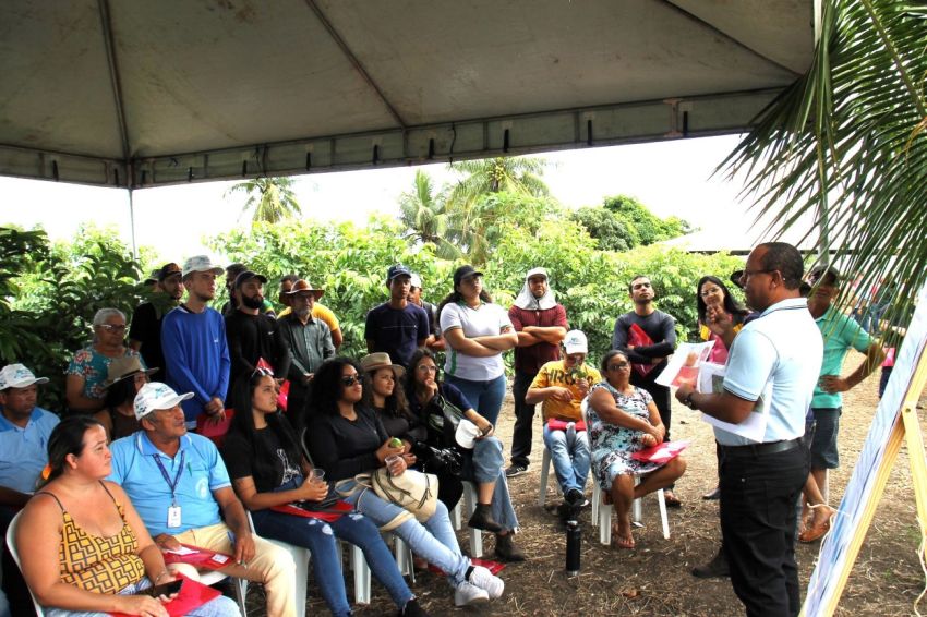 Agricultores de Canindé conhecem nova variedade de goiaba